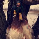 cade gordon - @cadegordon12 - Twitter