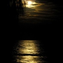 evan farrell - @eevan1 - Twitter