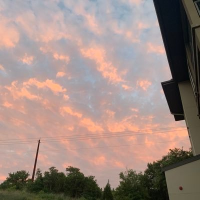 LillienneH's profile picture. 