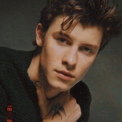 blessing your feed with the singer-songwriter @shawnmendes 💞💞 shared account - @becauseiihadyou and @katwrynn