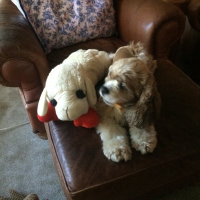 BesseEileen's profile picture. 