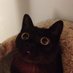 Murderous Chef Boyardee Can (@seamistwitch) Twitter profile photo Murderous Chef Boyardee Can (@seamistwitch) Twitter profile photo