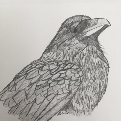 Devさんのプロフィール画像