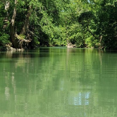 angel_yenci's profile picture. 😍