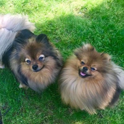 StaciH14's profile picture. 