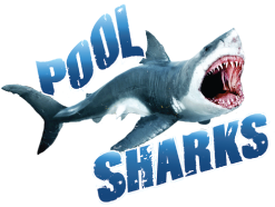txpoolsharks's profile picture. 