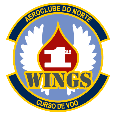 1stwings's profile picture. 