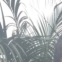 Chad (@funnyman664) 's Twitter Profile