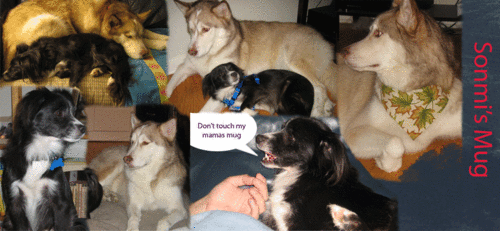 topjimmy2006's profile picture. 