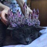 Котометы летят над землей | Digital Artist (@aliceten_art) 's Twitter Profile