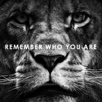 Ing. Luis Picazo (@ingluispicazo) 's Twitter Profile Photo