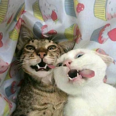 Debasis72849726's profile picture. I'm a simple boy.