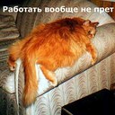 Ivan Ivanov - @bookaread1 - Twitter