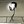 skjalf (@skjalf) profile picture