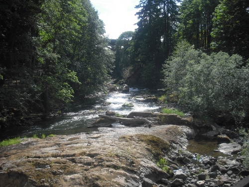 we_motivate's profile picture. Every day in every way you are getting better and better!