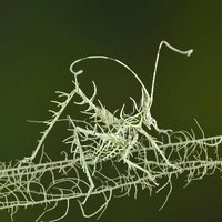 David Weiller (@davidweiller) 's Twitter Profile