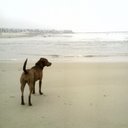 Jacques Rojahn - @JacquesRojahn - Twitter