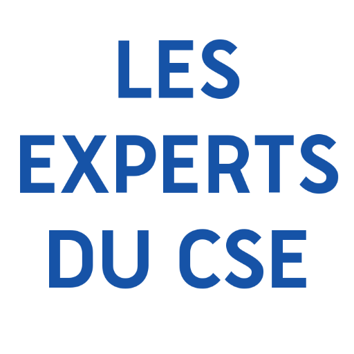 Comité d'#Entreprises - Chaque semaine des articles détaillés pour les #CSE. #Comptabilité #bilan #social