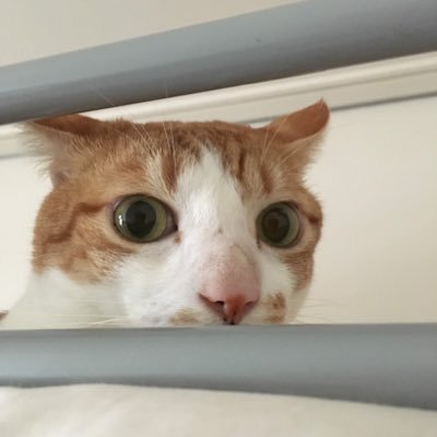 zodiak1115's profile picture. 