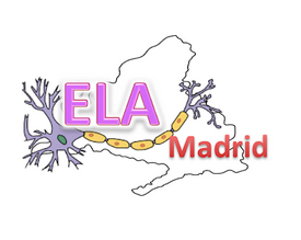 ELAMADRID es un programa de investigación orientado al descubrimiento y desarrollo de agentes terapéuticos eficaces para el tratamiento de la ELA