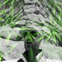 Jimmy Lee (@jimmylee3114lyf) 's Twitter Profile