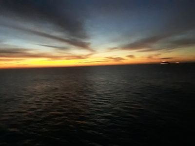 AnastoFischer2's profile picture. 