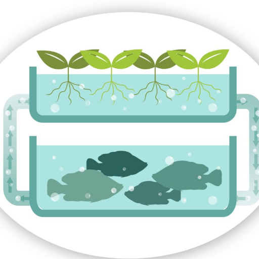 Learn more about aquaponics systems