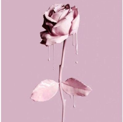 Smara83's profile picture. Every day I learn something new about life, I belong to Al-Ittihad ⚫🟡 nation♥