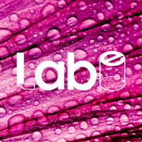LABe - Digital Gastronomy Lab(@LABe_dgl) 's Twitter Profile Photo