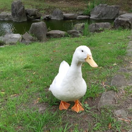 劇団はるあづま主宰。
役者。
舞台、ゆうめい「あか」「家走る」「うちの庭」「粘土ごと」「残暑」「姿」「姿再演」「あかあか」青年団若手山中企画「転校生」
テレビ、Eテレ「ビットワールド」

空や、風景、まちあるき、は「ケンノ介のまちあるく」へお越しください。