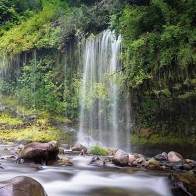 OQzOaro5toScedK's profile picture. 