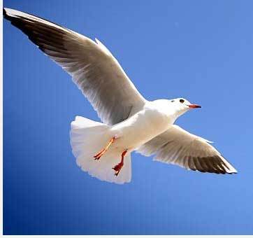 LotteFanClub's profile picture. 부산 롯데자이언츠! 지키는 야구보다, 화끈한 경기가 좋다. 야구를 즐기시는 분 누구나 환영합니다. LotteGiants/Baseball #LOTTE 2012년은 롯데 자이언츠 우승의 해입니다. 'V3'를 위해 부산 갈매기가 되어 봅시다.