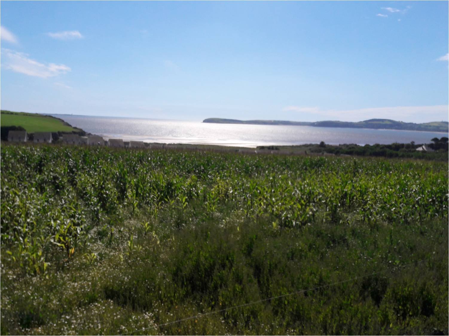 EIP co funded by DAFM under the RDP 2014-2020 aiming to reduce bacterial levels in two streams that flow onto Duncannon beach, Co.Wexford