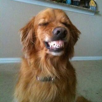 addict4women's profile picture. Relapsed...again  under consideration by @seductivesophia 👸🏽