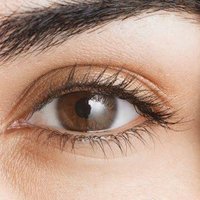 Alba Villa (@freshpaw) 's Twitter Profile Photo