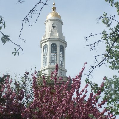 The First College Year program integrates students into the Brooklyn College community as engaged participants and facilitates their transition to college life.