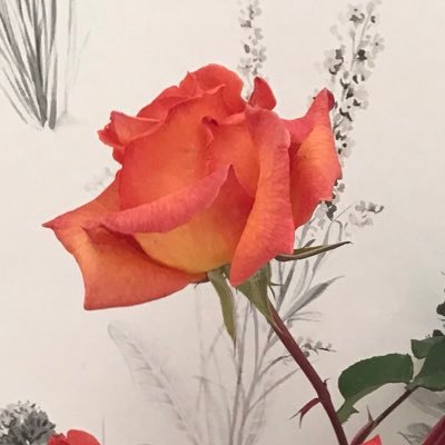 annylaure64's profile picture. 