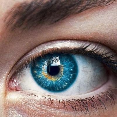 Reporte55384891's profile picture. 