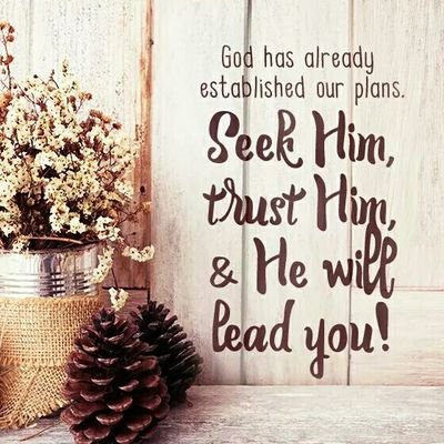 herbzmann's profile picture. 