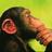 ELCESAR68's profile image