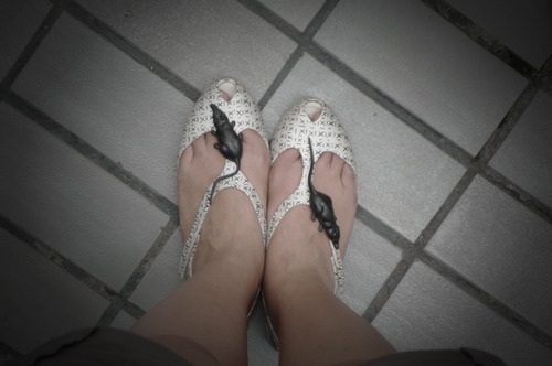 Andara Tisnadisastra Profile