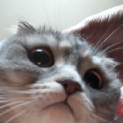 _motyulek_'s profile picture. 
