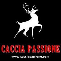 Caccia Passione(@cacciapassione) 's Twitter Profile Photo