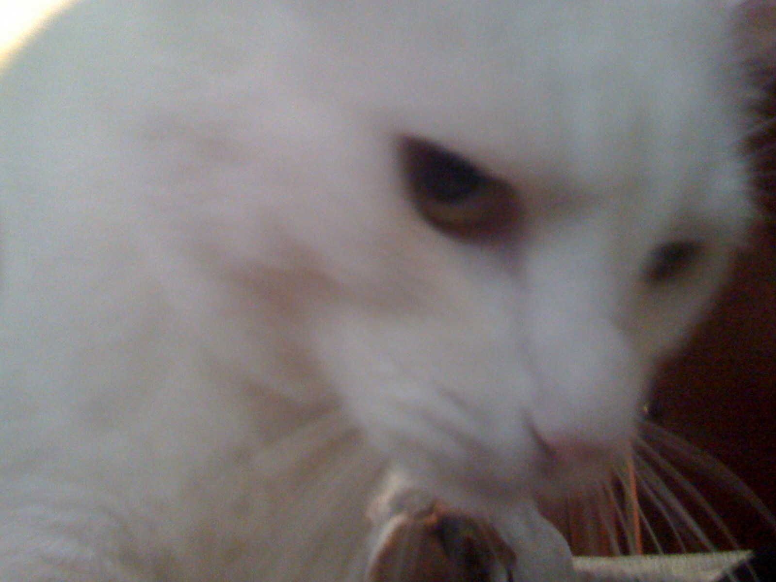 redoc09's profile picture. 