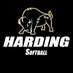 Harding Softball (@Harding_SB) Twitter profile photo