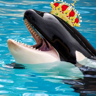 Royal Cetacean from the United Kingdom. Frequent contact with @realDonaldTrump . fuck Elon Musk