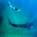 Abi March (@abiwhaleshark) Twitter profile photo Abi March (@abiwhaleshark) Twitter profile photo