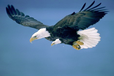 mrmikesimons's profile picture. 