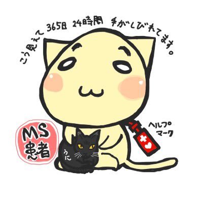 ちゃまきさんのプロフィール画像