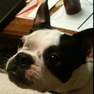 GBtheDamager's profile picture. Oh, you know.